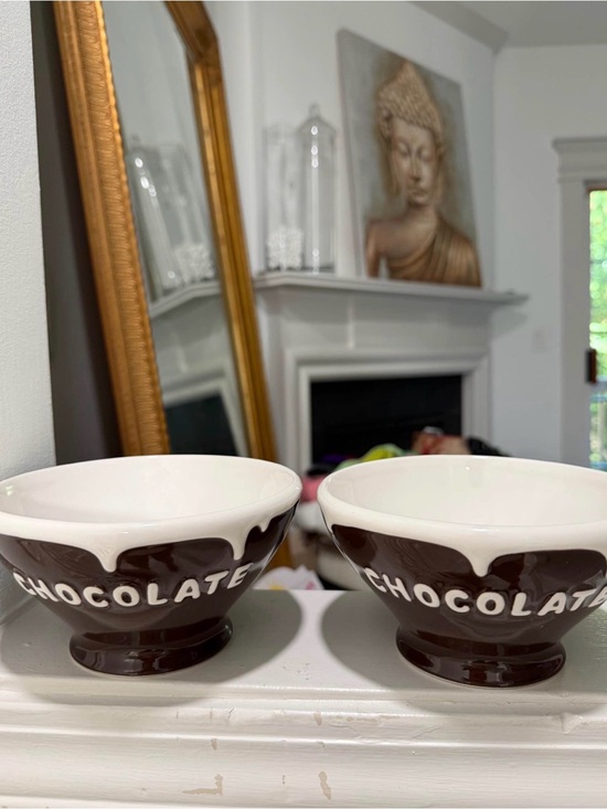Pottery Barn Other - Pottery barn Chocolate Drip ice cream Bowls - Set of 2